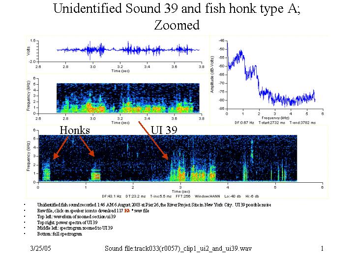 unknown and honk a