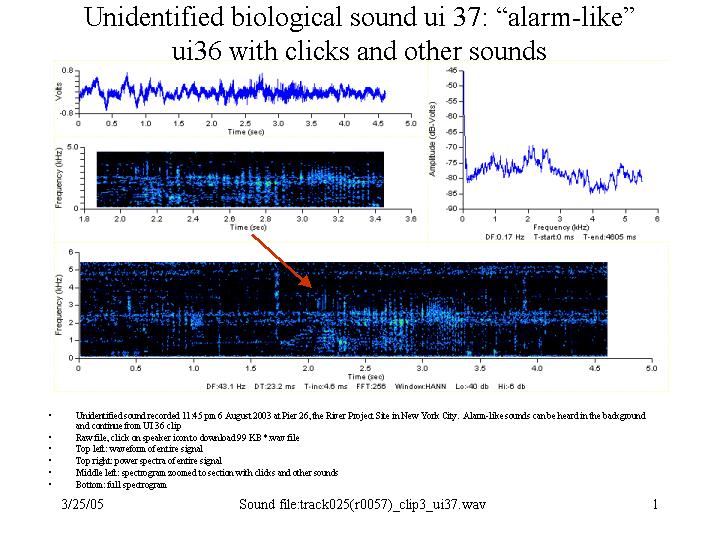 alarm-like
