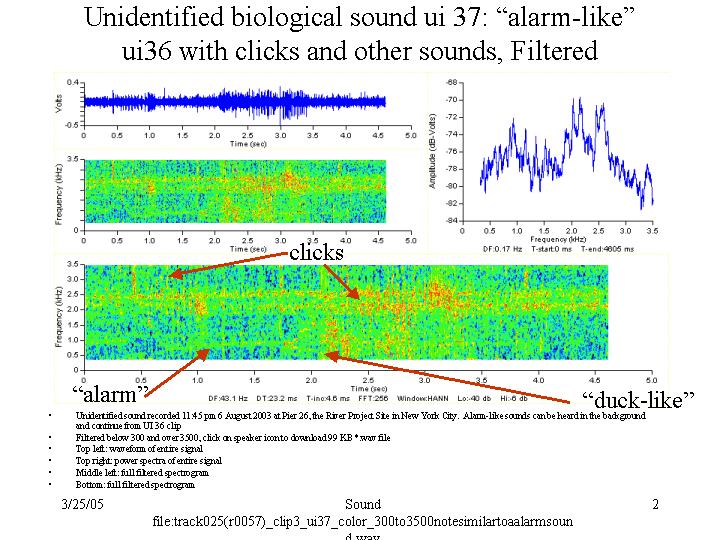 Filtered alarm-like
