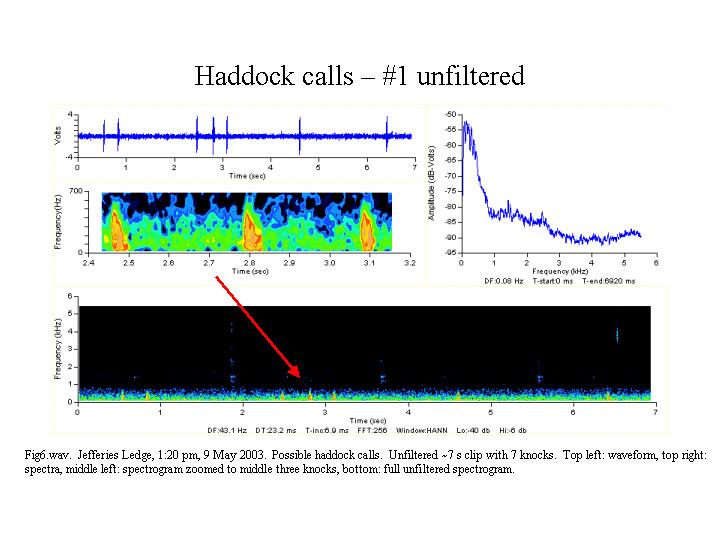 haddock call