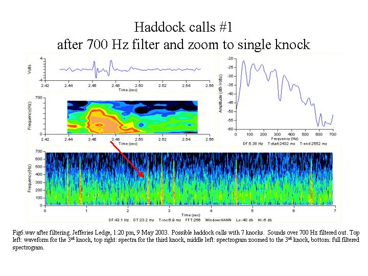 Filtered haddock call