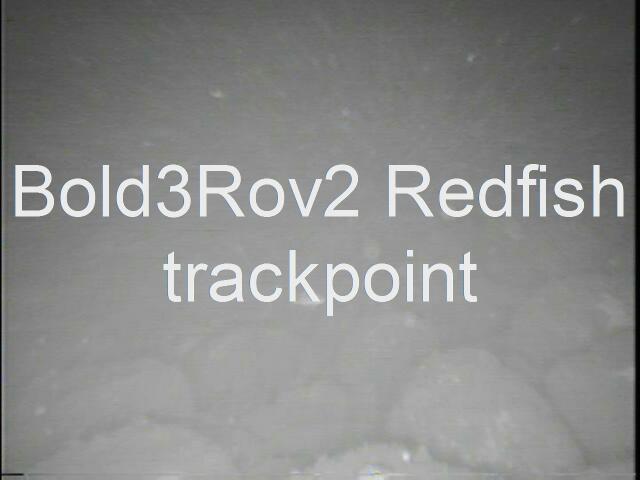 bold3rov2redfishtrackptat533b.JPG
