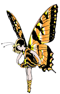 Fairy